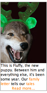 Fluffy_ad_sample1.png