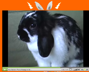 bunny1.png