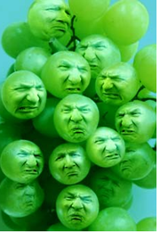 sourgrapes.png