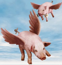 Pigs-Flying