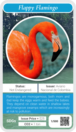 Flamingo Creature Token NFT from Meta-Carbon